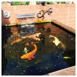 Our Work - Ponds and Water Features